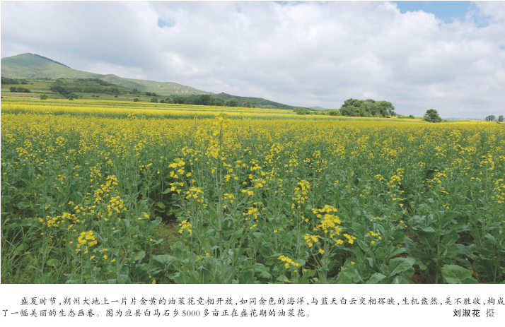 文明新风拂沃野和美乡村入画来